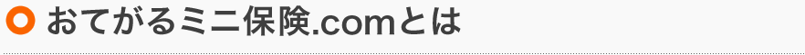 おてがるミニ保険.comとは