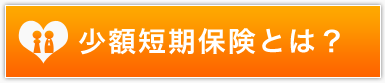 少額短期保険とは