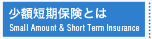 少額短期保険とは