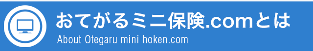 おてがるミニ保険.comとは