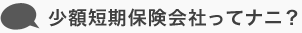 少額短期保険会社ってナニ？