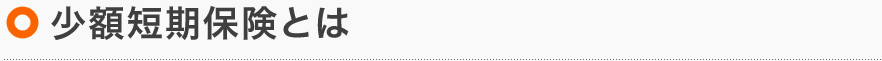 少額短期保険とは