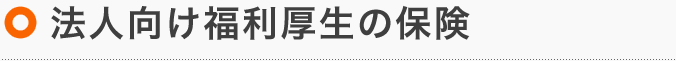 法人向け福利厚生の保険